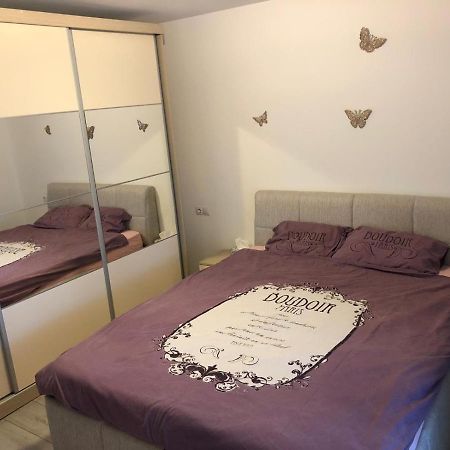 Apartament Modern Targoviste In Regim Hotelier Eksteriør bilde